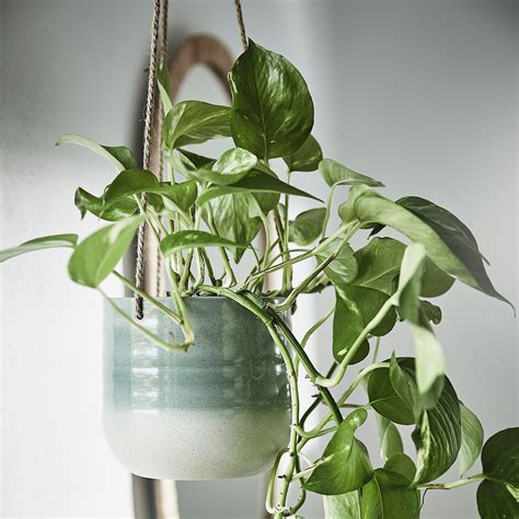 Indoor Plant Pots And Hanging Planters Ikea