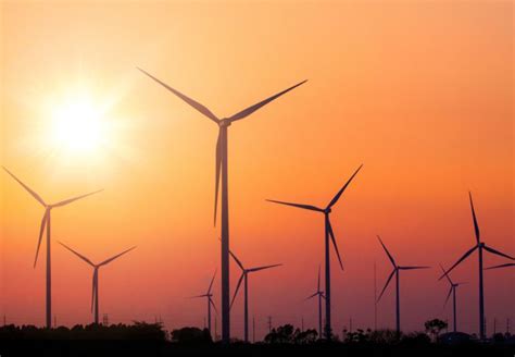 Odishas GRIDCO To Procure 400 MW Wind Power From SECI