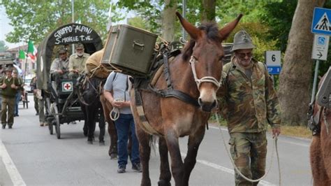 Alpini In Marcia Con I Muli Per Raggiungere Ladunata Messaggero Veneto