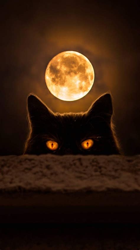 Dark Cat Eyes iPhone Wallpaper - iPhone Wallpapers