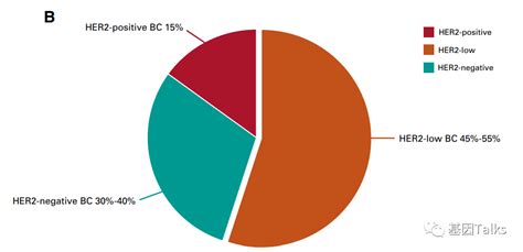 全球首个her2低表达乳腺癌靶向药物上市，获益人群扩大至60~70！her2乳腺癌靶向药物癌症 健康界