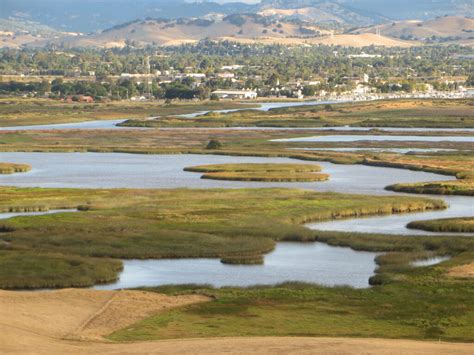 Why We Need to Restore Floodplains