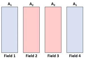 What is a Split-Plot Design? (Explanation & Example)