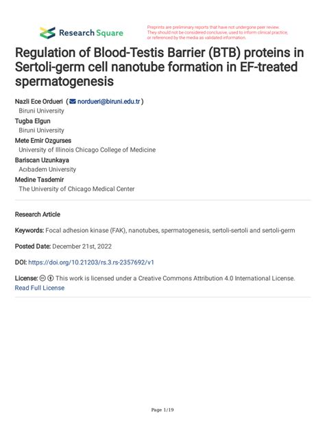 Pdf Regulation Of Blood Testis Barrier Btb Proteins In Sertoli Germ