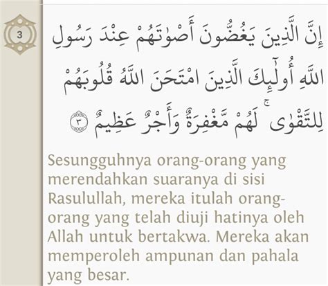 Belajar Surat Al Hujurat Beserta Artinya Aaqil Murottal Quran