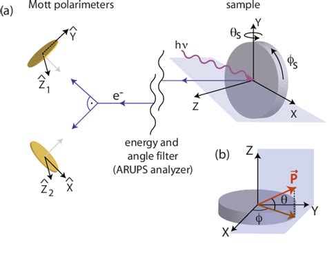 Figure From Quantitative Vectorial Spin Analysis In Angle Resolved