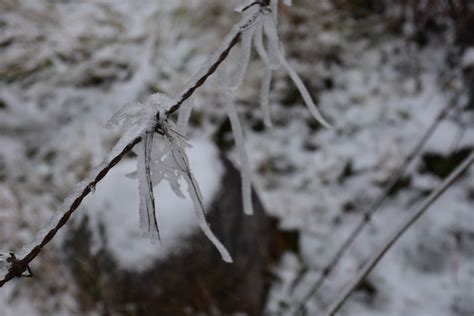 Pura belleza las mejores postales de la nevada en Tafí del Valle