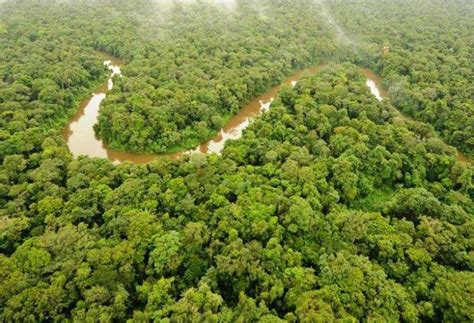 Parc Amazonien De Guyane Guide Des Recommandations Et Des Activités