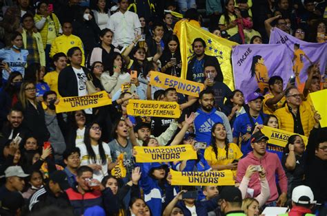 Tigres Femenil Conquista Su Quinta Estrella En El Apertura 2022 — Ibero