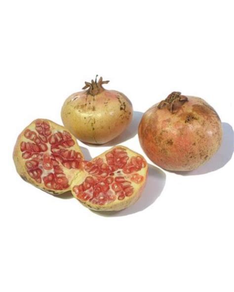 Гранат без косточек купить в Fruitonline
