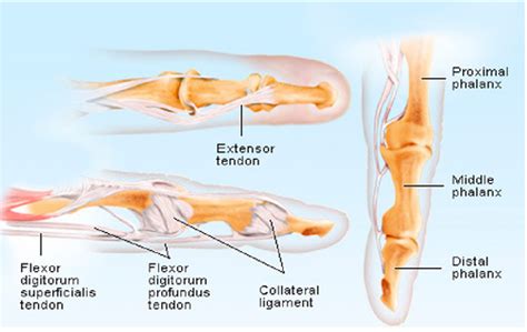 NHSGGC Hand And Finger Fractures