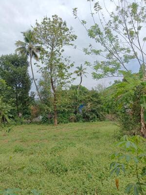 Residential Land Plot For Sale In Aluva Kochi Sq Yard