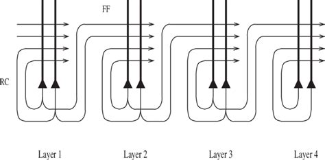 The Structure Of The Excitatory Connections In The Network There Are