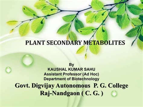 Secondary Metabolites Of Plant By K K Sahu Sir Ppt