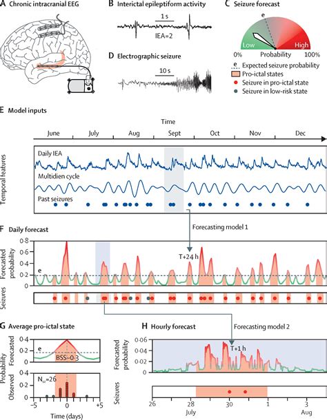 Forecasting Seizure Risk In Adults With Focal Epilepsy A Development