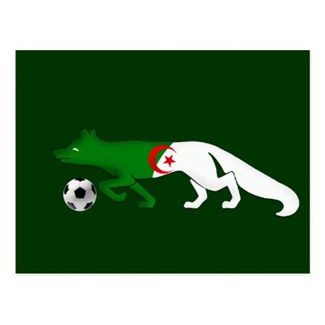 The Desert Fox Algeria Flag Le Fennec Soccer Gifts Postcard Zazzle