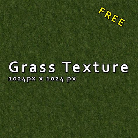 Grass Texture (High Resolution and Tileable) – Free Download