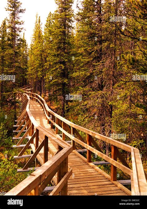 Walk walking trail hi-res stock photography and images - Alamy