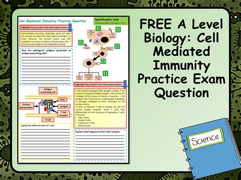 Free A Level Biology Cell Mediated Immunity Practice Exam Question