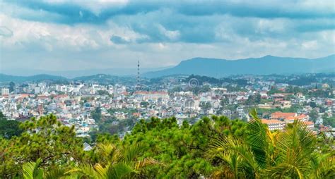 Palmas Mojadas En La Lluvia Foto De Archivo Imagen De Selva Canotaje