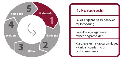 Modell For Kvalitetsforbedring Helsebiblioteket