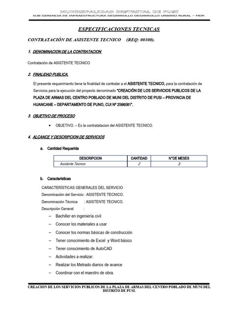 Asistente Tecnico | PDF 