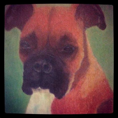 Chalk pastels. | Chalk pastels, Art, Animals