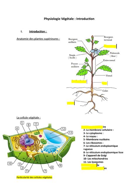 Physiologie V G Tale Er Cours Physiologie V G Tale Introduction I