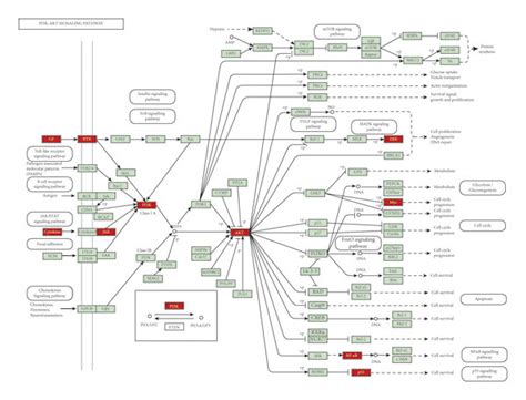 Pi K Akt Signaling Pathway Kegg Red Nodes Represent The Targets