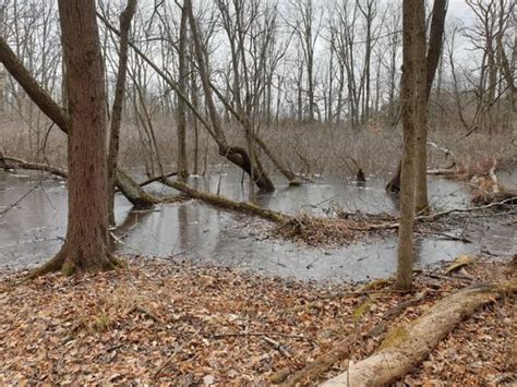 Summit Lake State Park Updated November 2024 103 Photos And 21