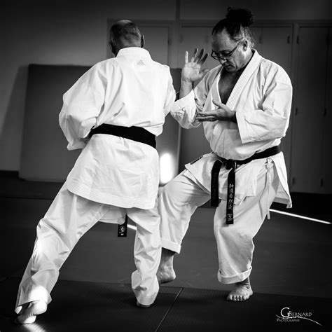 Die Lehre Des Karatedo 6