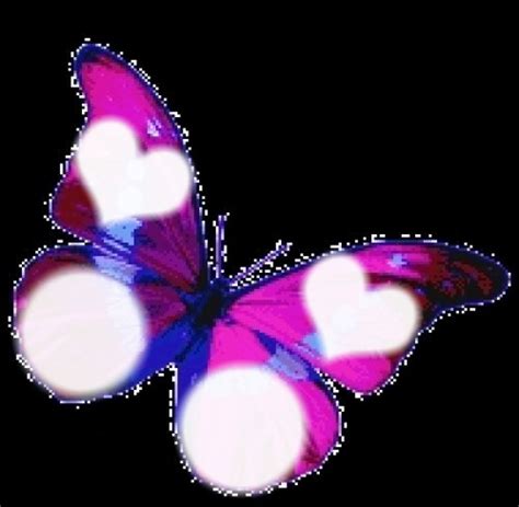 Mariposas Fotomontagem Pixiz