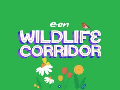 Wildlife Corridors designs, themes, templates and downloadable graphic ...