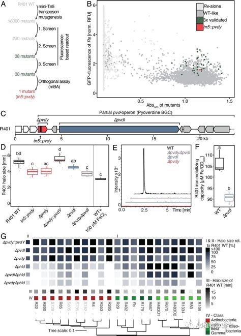 Pnas 研究揭示让竞争微生物远离促使植物微生物群定殖的机制！ 知乎