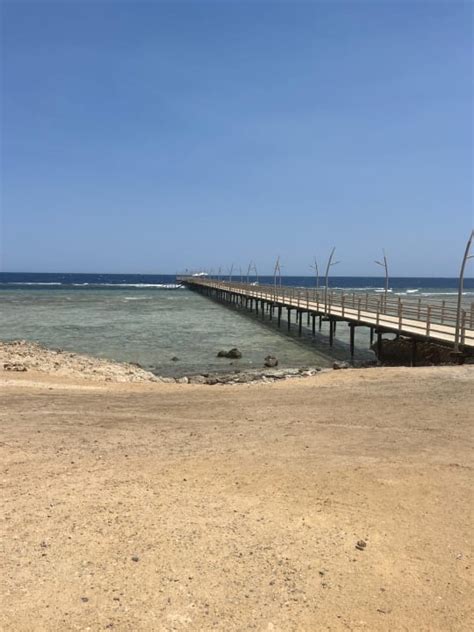 Strand Malikia Resort Abu Dabbab Marsa Alam Holidaycheck Marsa