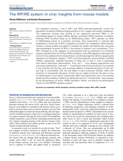 PDF The IRP IRE System In Vivo Insights From Mouse Models