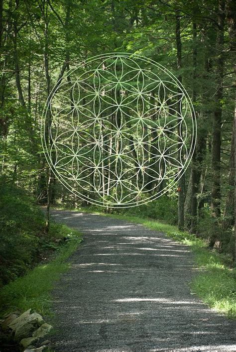 Sacred Geometry And Nature 2 8x12 Digital Print Photography Etsy In 2021 Sacred Geometry