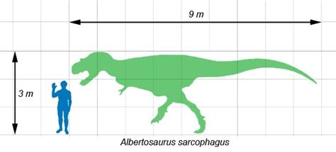 Albertosaurus Characteristics, Facts, Range, Habitat and Behavior