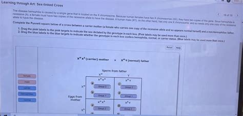 Solved Learning Through Art Human Pedigree Analysis 10 Of 19 The