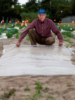 Soil Solarization Gardening Solutions University Of Florida