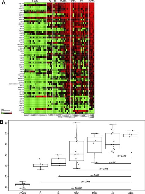 Nf B Activity In Nlphl The List Of Nf B Target Genes Experimentally