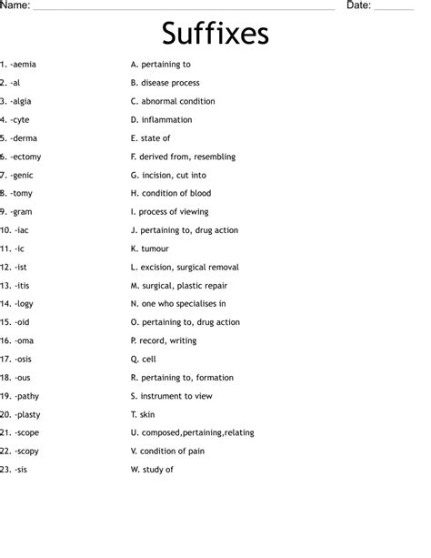 Med Term Test Suffixes Worksheet Wordmint Off