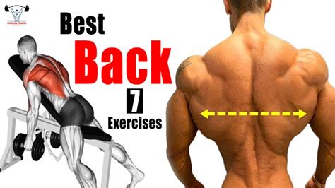 افضل 7 تمارين اساسية لضخامة الظهر Best Back Exercises Youtube