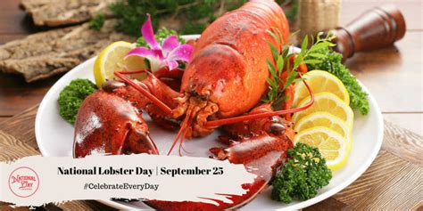 National Lobster Day Events Molli Verena