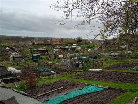 Allotments Berwick Upon Tweed © Jim Smillie Geograph Britain And Ireland