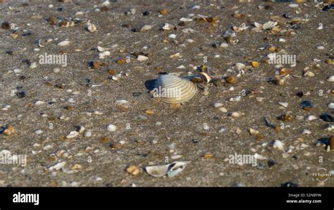 Crystal Beach Texas Hi Res Stock Photography And Images Alamy