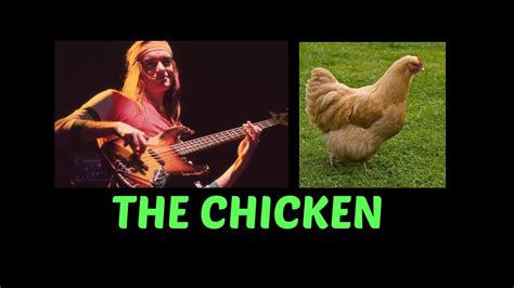 Jaco Pastorius The Chicken Bass Cover With Loop Station Youtube