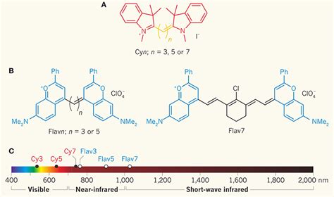 Frontiers Recent Progress In NIR II Contrast Agent For Biological Imaging