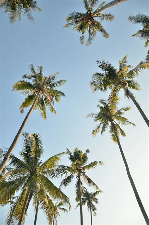Gynecologists in Winter Garden | Horizons OBGYN & Aesthetics