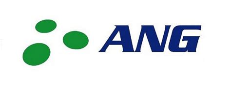 ANG Chartered Accountants and Insolvency Practitioners